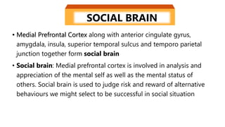 • Medial Prefrontal Cortex along with anterior cingulate gyrus,
amygdala, insula, superior temporal sulcus and temporo parietal
junction together form social brain
• Social brain: Medial prefrontal cortex is involved in analysis and
appreciation of the mental self as well as the mental status of
others. Social brain is used to judge risk and reward of alternative
behaviours we might select to be successful in social situation
SOCIAL BRAIN
 