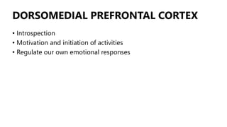 DORSOMEDIAL PREFRONTAL CORTEX
• Introspection
• Motivation and initiation of activities
• Regulate our own emotional responses
 