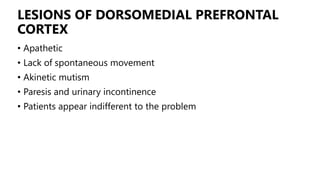 LESIONS OF DORSOMEDIAL PREFRONTAL
CORTEX
• Apathetic
• Lack of spontaneous movement
• Akinetic mutism
• Paresis and urinary incontinence
• Patients appear indifferent to the problem
 