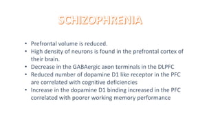 • Prefrontal volume is reduced.
• High density of neurons is found in the prefrontal cortex of
their brain.
• Decrease in the GABAergic axon terminals in the DLPFC
• Reduced number of dopamine D1 like receptor in the PFC
are correlated with cognitive deficiencies
• Increase in the dopamine D1 binding increased in the PFC
correlated with poorer working memory performance
 