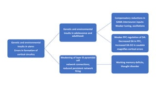 Genetic and environmental
Insults in utero:
Errors in formation of
cortical circuitry
Genetic and environmental
insults in adolescence and
adulthood:
Compensatory reductions in
GABA interneuron inputs:
Weaker tuning, oscillations
Weaker PFC regulation of DA:
Decreased DA in PFC,
Increased DA D2 in caudate
magnifies cortical errors
Weakening of layer III pyramidal
cell
network connections;
reduced persistent network
firing
Working memory deficits,
thought disorder
 