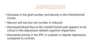 • Decrease in the glial number and density in the Orbitofrontal
Cortex.
• Neuron cell size but not number is reduced.
• Decreased blood flow to the medial frontal pole appears to be
critical in the depression related cognitive impairment.
• Decreased activity in the PFC in unipolar or bipolar depression
compared to controls.
 