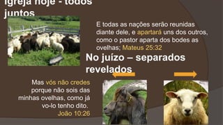 Igreja hoje - todos
juntos
E todas as nações serão reunidas
diante dele, e apartará uns dos outros,
como o pastor aparta dos bodes as
ovelhas; Mateus 25:32
Mas vós não credes
porque não sois das
minhas ovelhas, como já
vo-lo tenho dito.
João 10:26
No juízo – separados
revelados
 