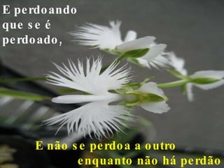 E perdoando que se é perdoado, E não se perdoa a outro  enquanto não há perdão por si mesmo, 