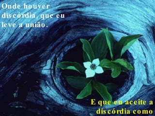 Onde houver discórdia, que eu leve a união. E que eu aceite a discórdia como geradora da união. 