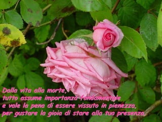 Dalla vita alla morte,
tutto assume importanza fondamentale
e vale la pena di essere vissuto in pienezza,
per gustare la gioia di stare alla tua presenza.
 
