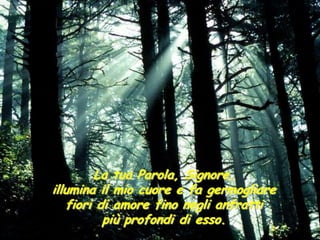 La tua Parola, Signore,
illumina il mio cuore e fa germogliare
   fiori di amore fino negli anfratti
          più profondi di esso.
 