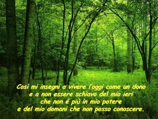 Così mi insegni a vivere l’oggi come un dono
    e a non essere schiavo del mio ieri
        che non é più in mio potere
e del mio domani che non posso conoscere.
 