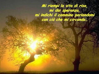 Mi riempi la vita di risa,
        mi dai speranza,
mi indichi il cammino parlandomi
    con ciò che mi circonda…
 