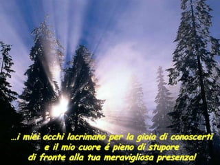 …i miei occhi lacrimano per la gioia di conoscerti
        e il mio cuore é pieno di stupore
    di fronte alla tua meravigliosa presenza!
 