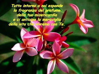 Tutto intorno a noi espande
  la fragranza del profumo
     della tua misericordia
  e ci anticipa la meraviglia
della vita che vivremo con Te.
 