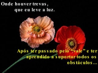 Onde houver trevas,  que eu leve a luz. Após ter passado pelo “vale” e ter aprendido a suportar todos os obstáculos... 