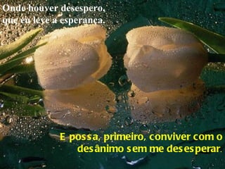 Onde houver desespero, que eu leve a esperança. E possa, primeiro, conviver com o desânimo sem me desesperar . 