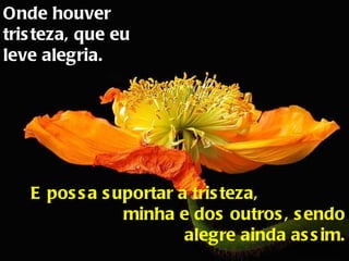 Onde houver tristeza, que eu leve alegria. E possa suportar a tristeza,  minha e dos outros, sendo alegre ainda assim. 