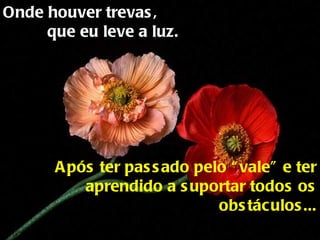 Onde houver trevas,  que eu leve a luz. Após ter passado pelo “vale” e ter aprendido a suportar todos os obstáculos... 
