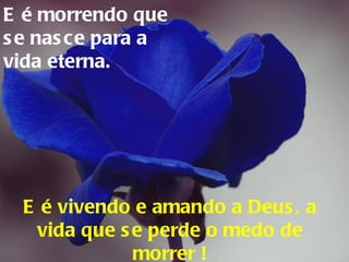 E é morrendo que se nasce para a vida eterna. E é vivendo e amando  a  Deus, a vida que se perde o medo de morrer ! 