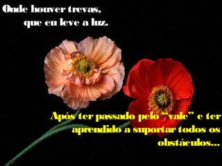 Onde houver trevas,
que eu leve a luz.

Após ter passado pelo “vale” e ter
aprendido a suportar todos os
obstáculos...

 