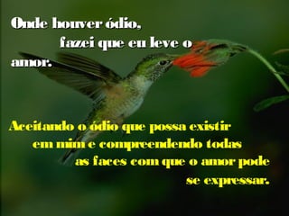 Onde houver ódio,
fazei que eu leve o
amor.

Aceitando o ódio que possa existir
em mim e compreendendo todas
as faces com que o amor pode
se expressar.

 
