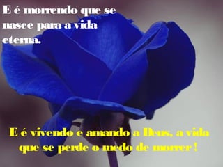 E é morrendo que se
nasce para a vida
eterna.

E é vivendo e amando a Deus, a vida
que se perde o medo de morrer !

 