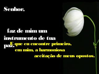 Senhor,
faz de mim um
instrumento de tua
E
paz.que eu encontre primeiro,

em mim, a harmoniosa
aceitação de meus opostos.

 