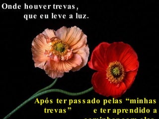 Onde houver trevas,  que eu leve a luz. Após ter passado pelas “minhas trevas”  e ter aprendido a caminhar com elas. 