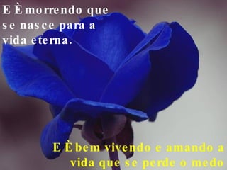 E é morrendo que se nasce para a vida eterna. E é bem vivendo e amando  a  vida que se perde o medo de morrer ! 