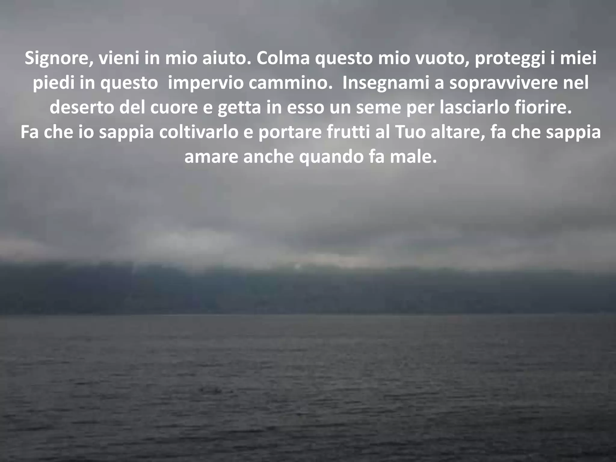 Signore, vieni in mio aiuto. Colma questo mio vuoto, proteggi i miei
  piedi in questo impervio cammino. Insegnami a sopravvivere nel
    deserto del cuore e getta in esso un seme per lasciarlo fiorire.
Fa che io sappia coltivarlo e portare frutti al Tuo altare, fa che sappia
                     amare anche quando fa male.
 