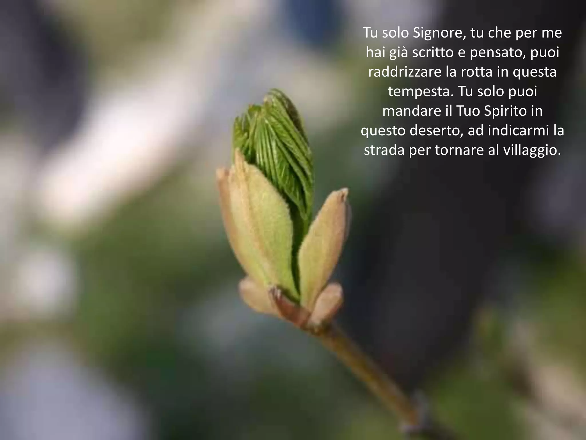 Tu solo Signore, tu che per me
 hai già scritto e pensato, puoi
 raddrizzare la rotta in questa
     tempesta. Tu solo puoi
   mandare il Tuo Spirito in
questo deserto, ad indicarmi la
strada per tornare al villaggio.
 