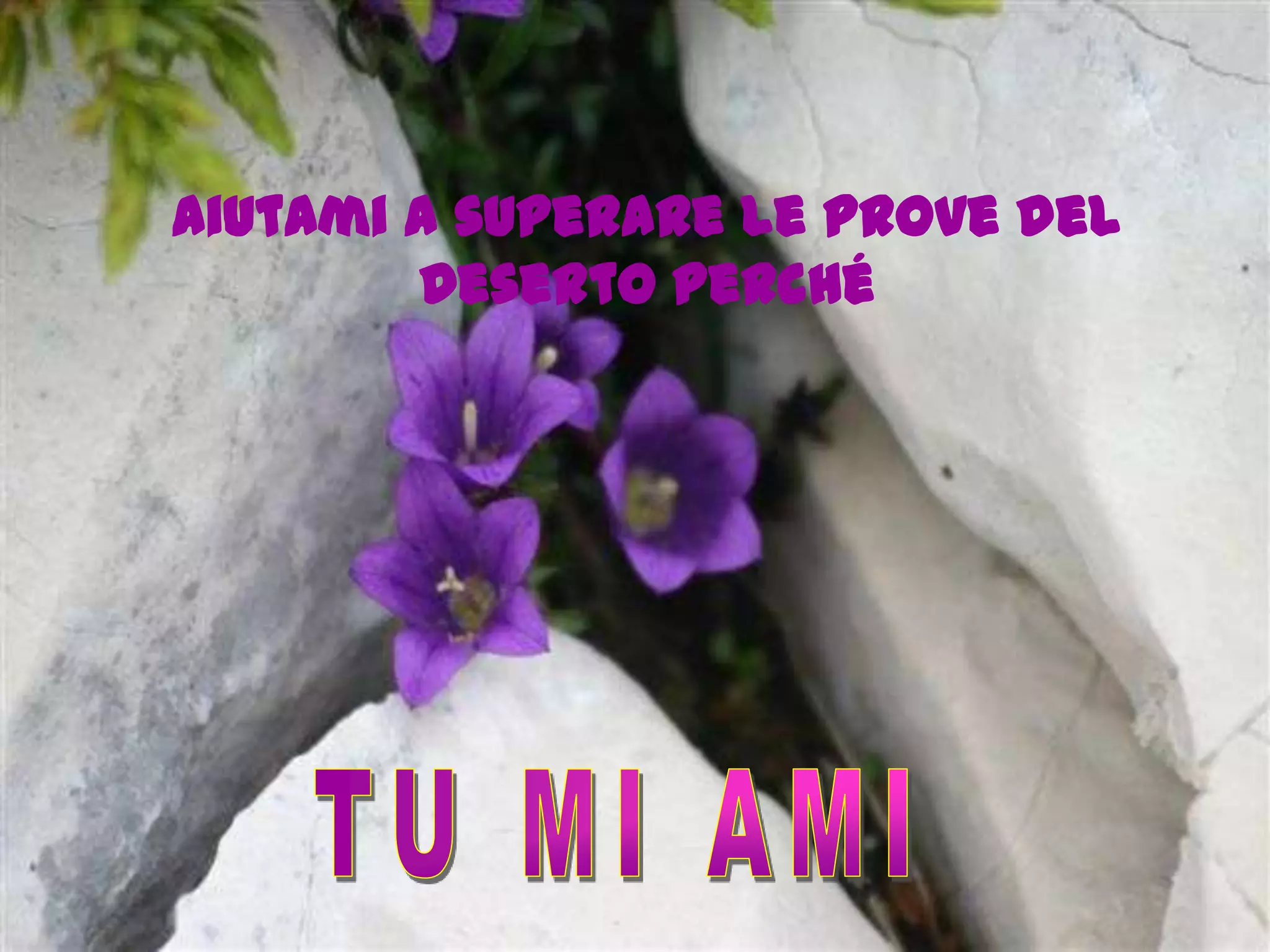 Aiutami a superare le prove del
        Deserto perché
 