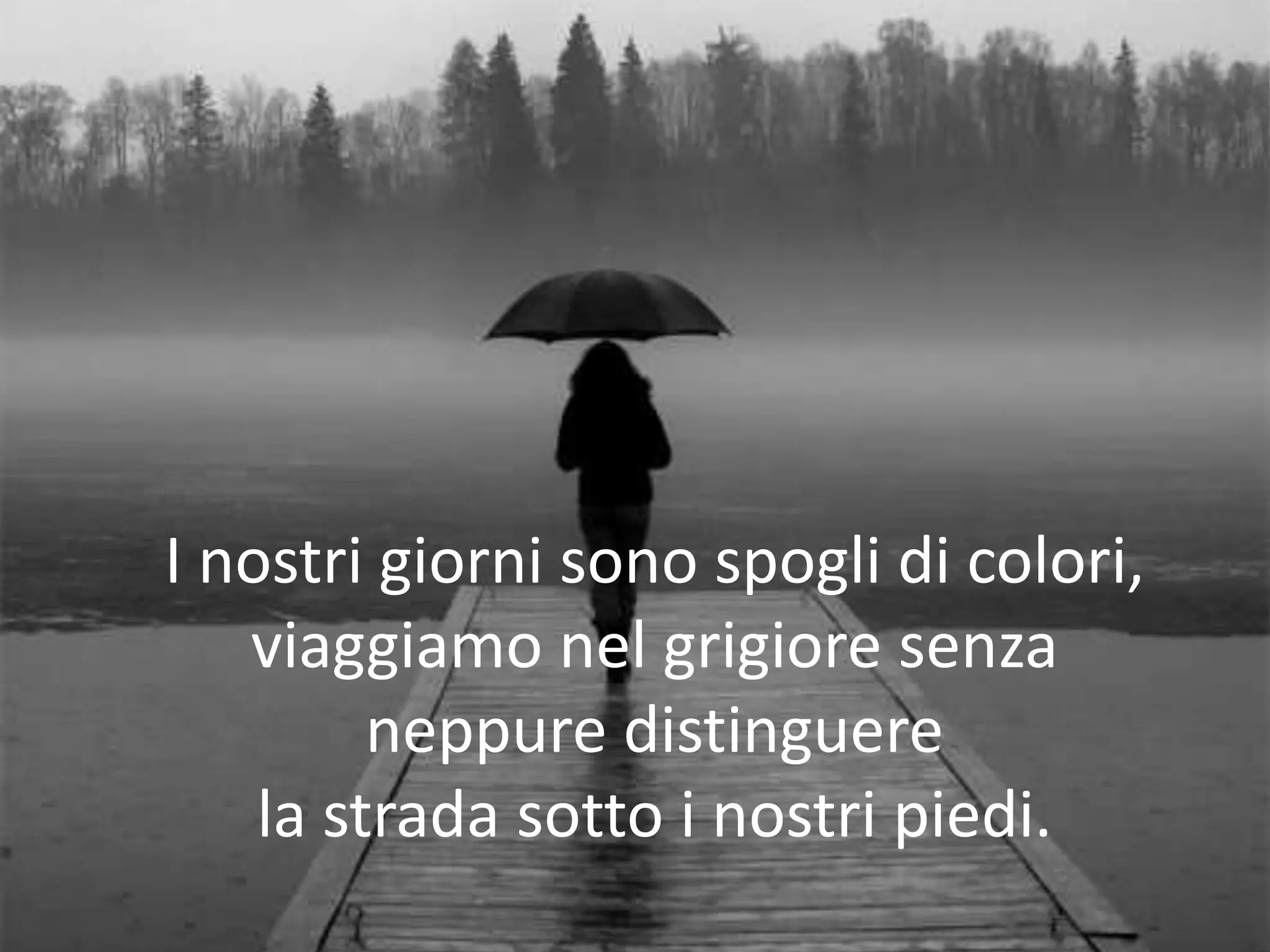 I nostri giorni sono spogli di colori,
   viaggiamo nel grigiore senza
         neppure distinguere
    la strada sotto i nostri piedi.
 