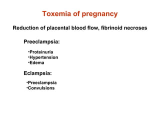 Toxemia of pregnancy Reduction of placental blood flow, fibrinoid necroses Preeclampsia: Proteinuria Hypertension Edema Eclampsia: Preeclampsia Convulsions