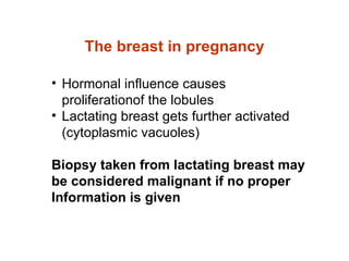 The breast in pregnancy Hormonal influence causes proliferationof the lobules Lactating breast gets further activated (cytoplasmic vacuoles) Biopsy taken from lactating breast may be considered malignant if no proper Information is given