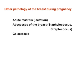 Other pathology of the breast during pregnancy Acute mastitis (lactation) Abscesses of the breast (Staphylococcus, Streptococcus) Galactocele