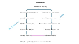 Pregnacny, Parturition, and Lactation.pdf