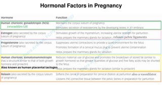 Pregnacny, Parturition, and Lactation.pdf
