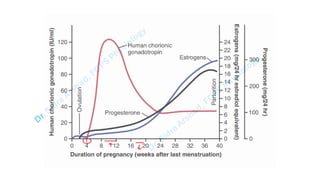 Pregnacny, Parturition, and Lactation.pdf