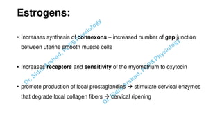 Pregnacny, Parturition, and Lactation.pdf
