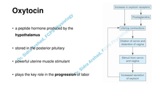 Pregnacny, Parturition, and Lactation.pdf