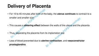 Pregnacny, Parturition, and Lactation.pdf