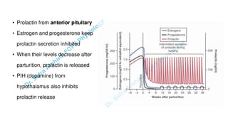 Pregnacny, Parturition, and Lactation.pdf