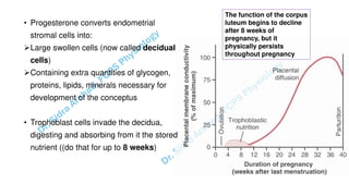 Pregnacny, Parturition, and Lactation.pdf