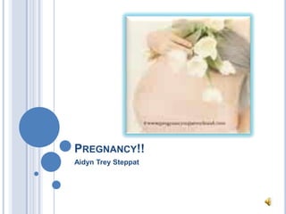 Pregnancy!! Aidyn Trey Steppat 