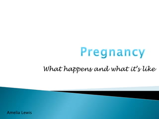 Pregnancy What happens and what it’s like Amelia Lewis 