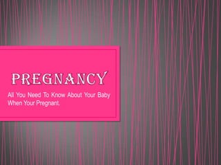 All You Need To Know About Your Baby
When Your Pregnant.
 