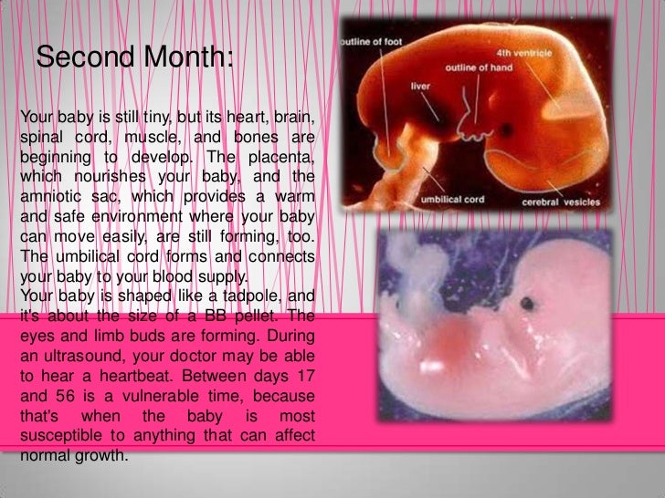 pregnancy