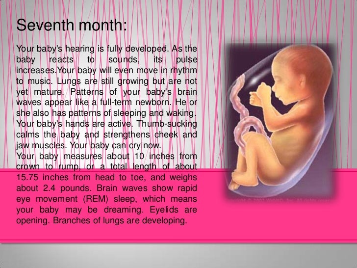 Pregnancy foods-to-eat-during-second-trimester-of-pregnancy-second-trimester-of