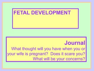 FETAL DEVELOPMENT




                              Journal
  What thought will you have when you or
your wife is pregnant? Does it scare you?
               What will be your concerns?
 