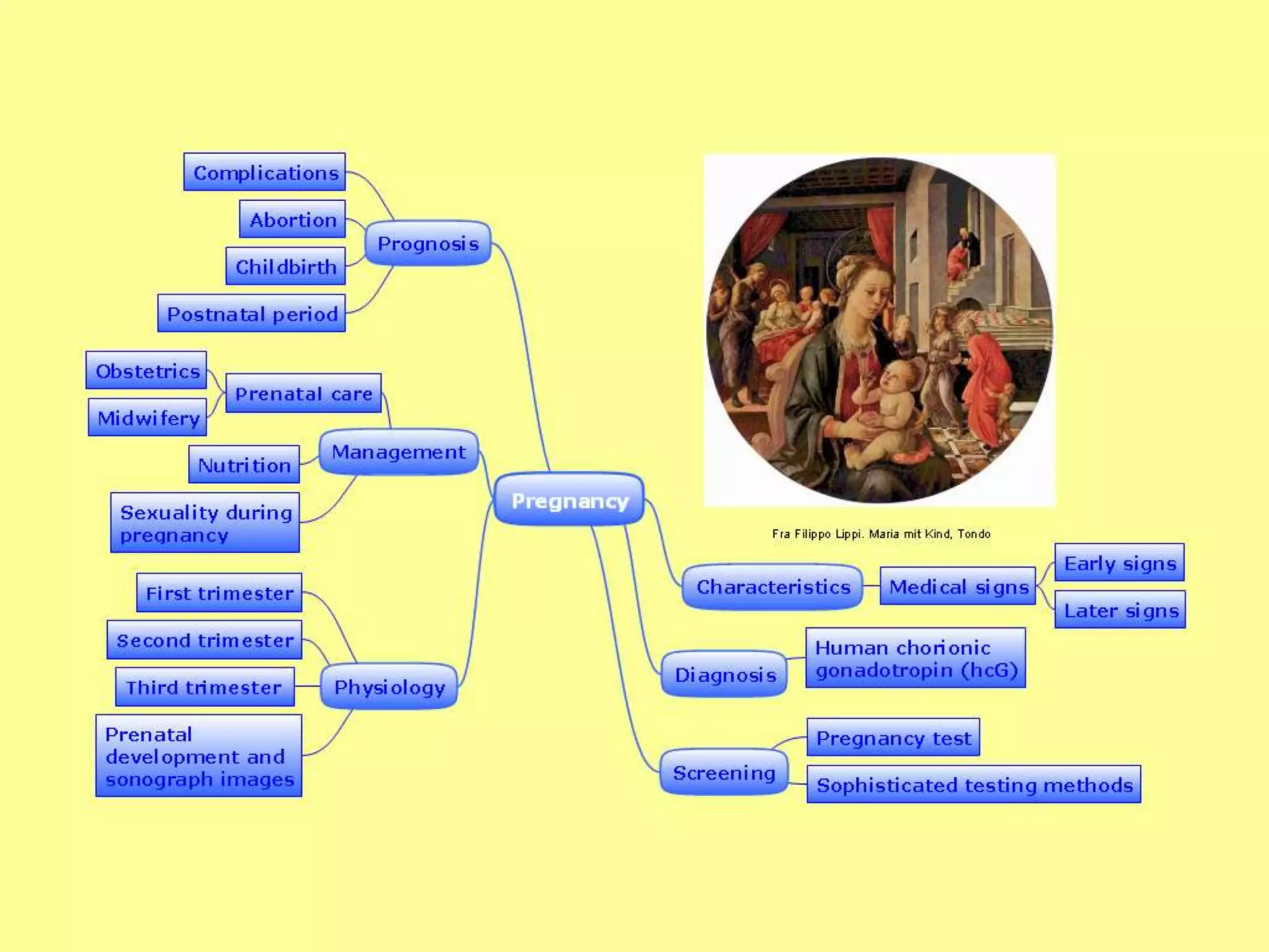 Preparing for Pregnancy map by ConceptDraw MindMap | PPTX