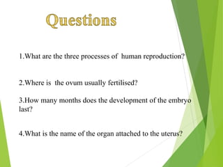 1.What are the three processes of human reproduction?
2.Where is the ovum usually fertilised?
3.How many months does the development of the embryo
last?
4.What is the name of the organ attached to the uterus?

 