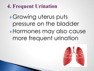 Growing uterus puts
pressure on the bladder
Hormones may also cause
more frequent urination
 